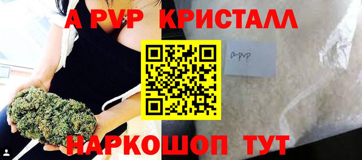 A PVP СК Новошахтинск