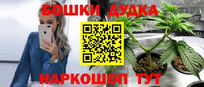 прущий лед Партизанск