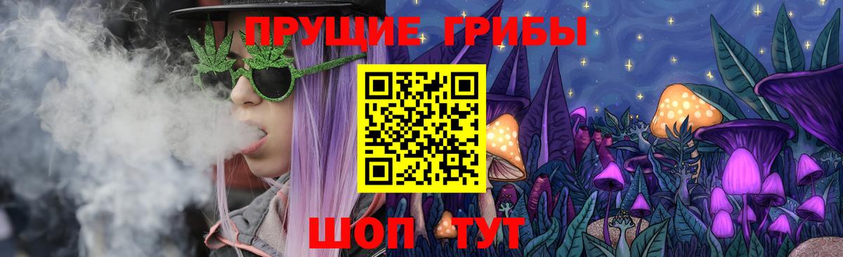 Псилоцибиновые грибы прущие грибы  Вход с VPN  Новошахтинск 